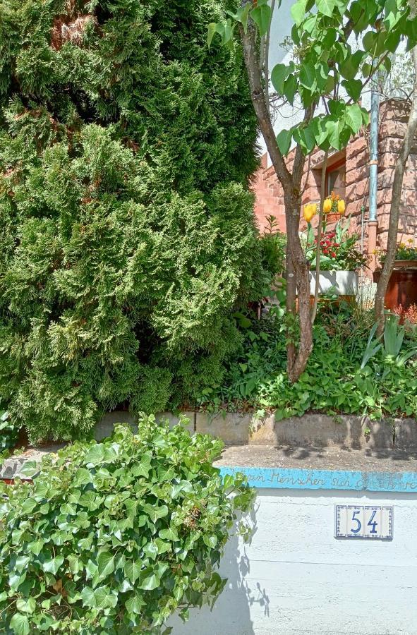 Casa La Collina Delle Ginestre Apartment Eberbach  Exterior photo