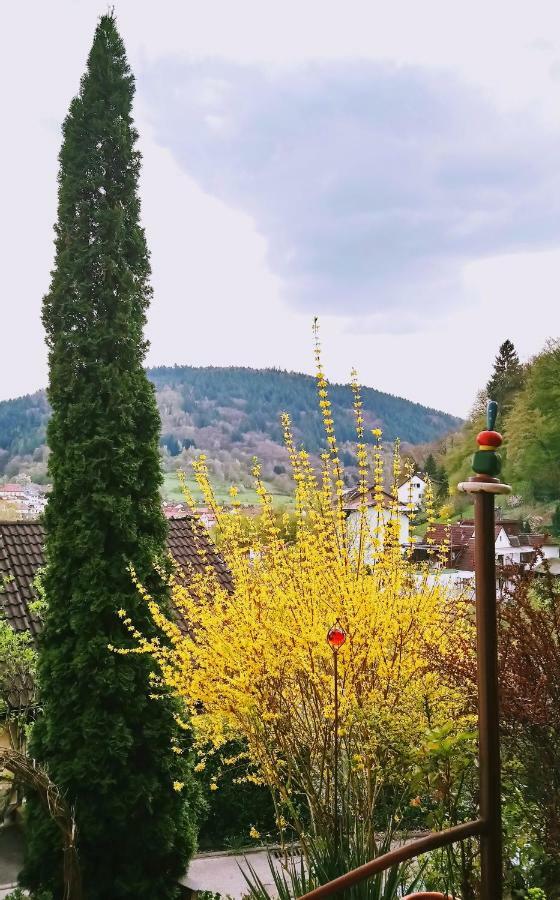 Casa La Collina Delle Ginestre Apartment Eberbach  Exterior photo