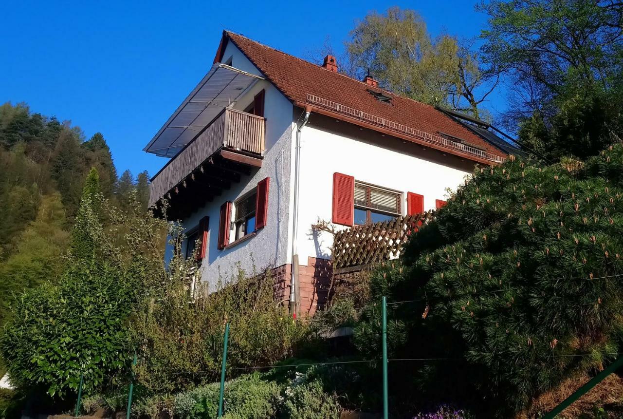 Casa La Collina Delle Ginestre Apartment Eberbach  Exterior photo